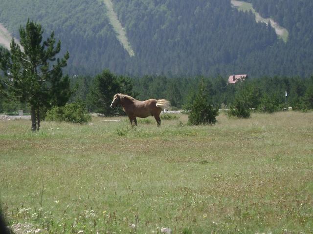 Park prirode Blidinje