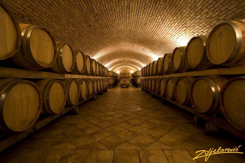 Hotel Winery Zdjelarević