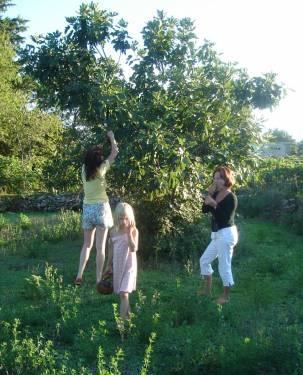 Agrotourizam Kalpić