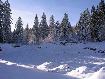 Parco Nazionale Velebit Settentrionale