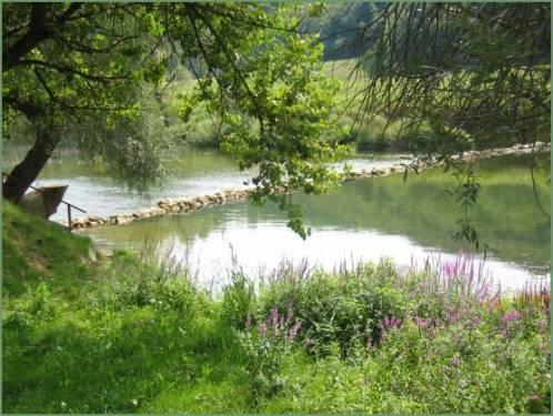 Ländlicher Tourismus Lujzijana - Koran