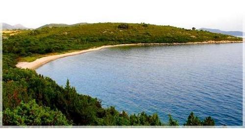 Auto camp Banici