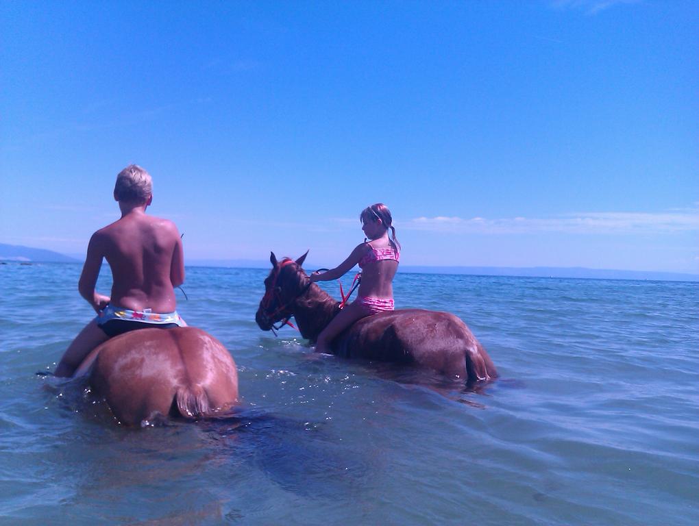 Ranch Istra Star