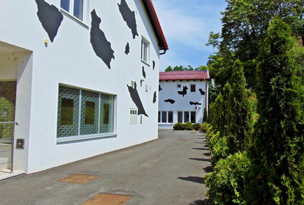 Hostel 101 Dalmatinac