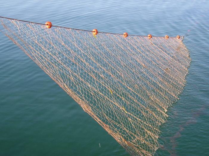 Appartamenti Kosirina