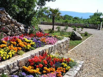 Apartments Villa Haya - Island of Krk