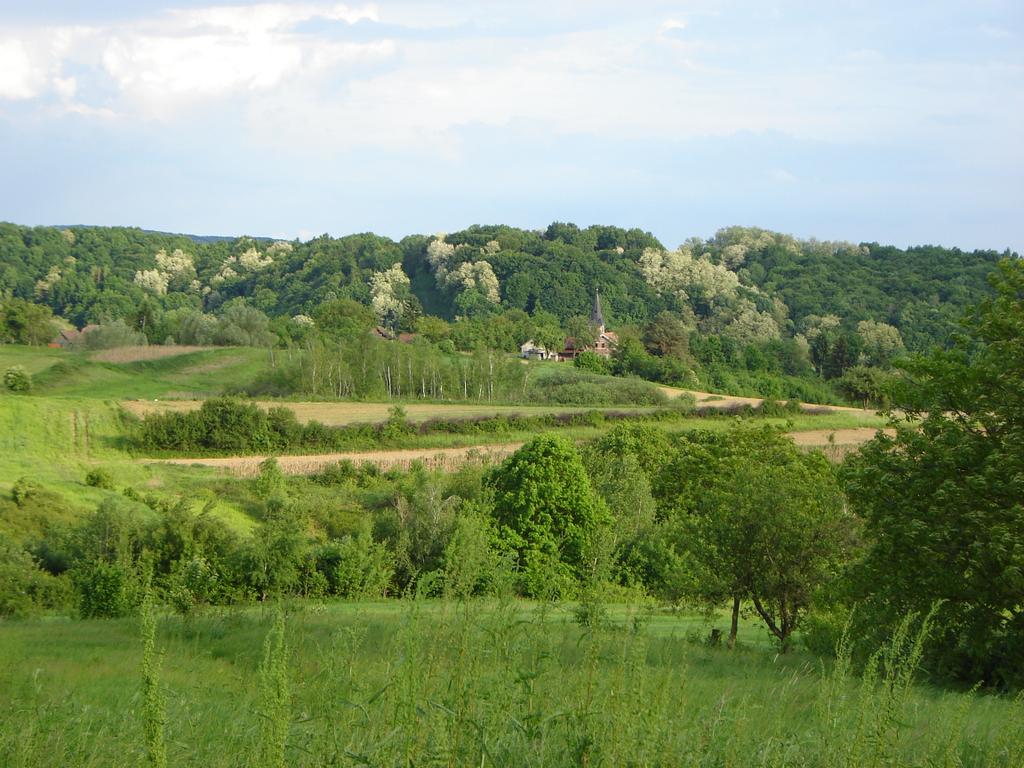 Holiday house in the heart of Moslavina