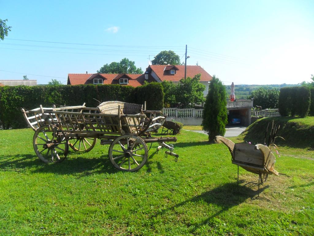 Excursion site Zeleni put