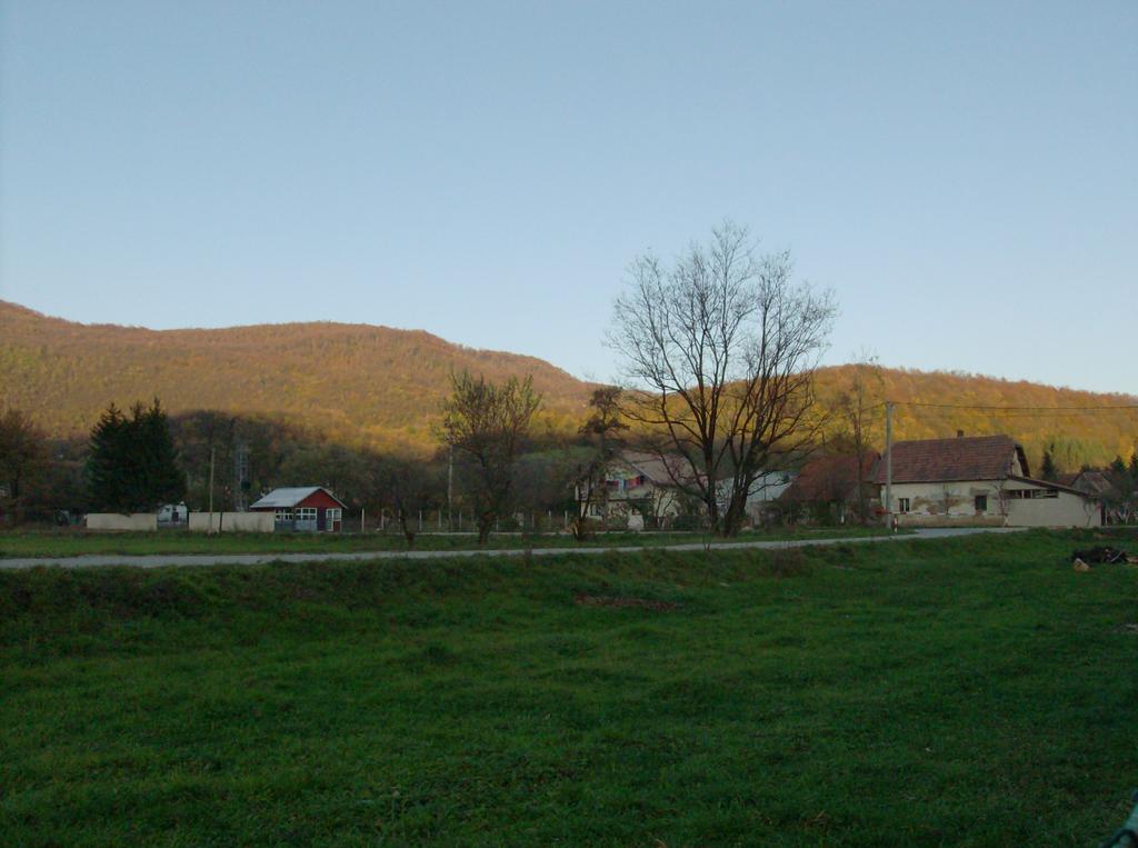 Sto affittando un cottage