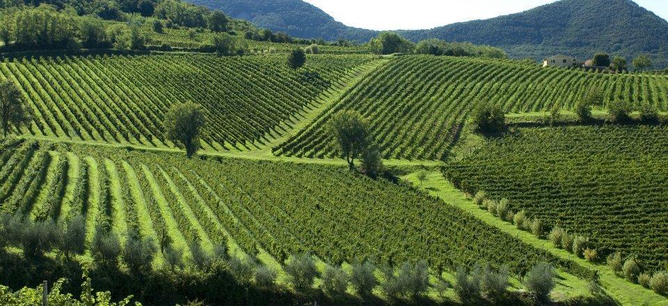 Istria