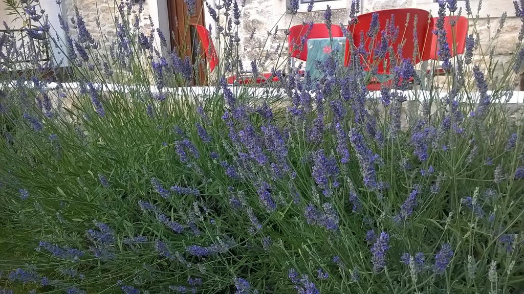 Holiday house "Ivana"