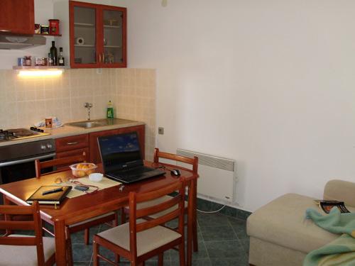 Apartment / House 2 +2