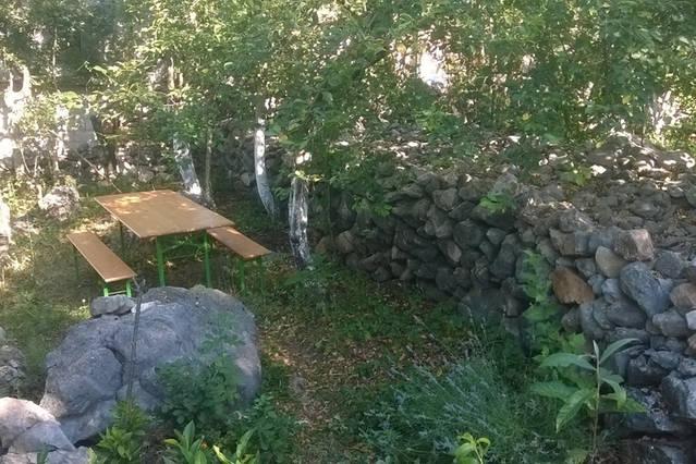 Holiday house in a green garden