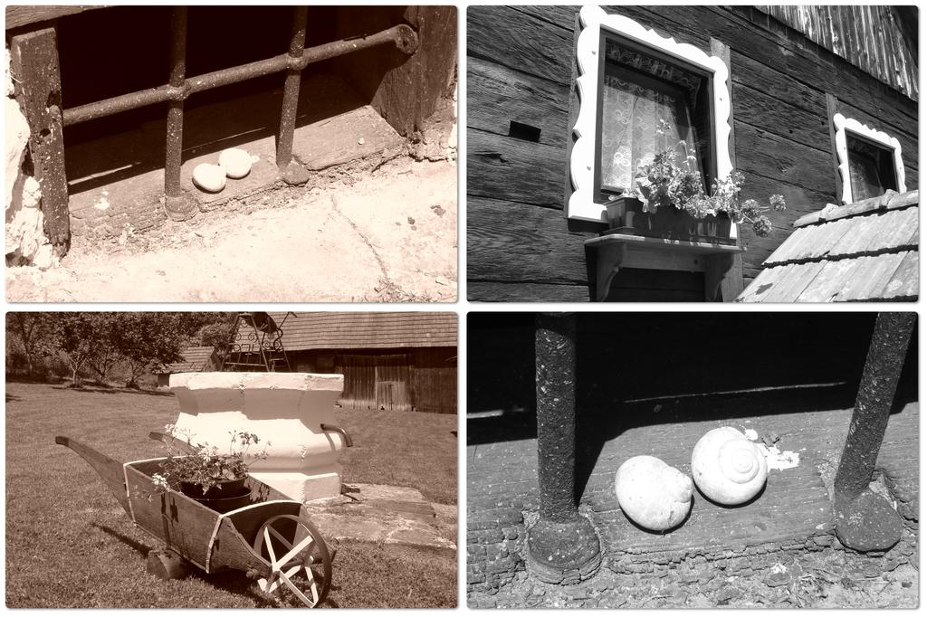 Holiday house in the heart of Moslavina