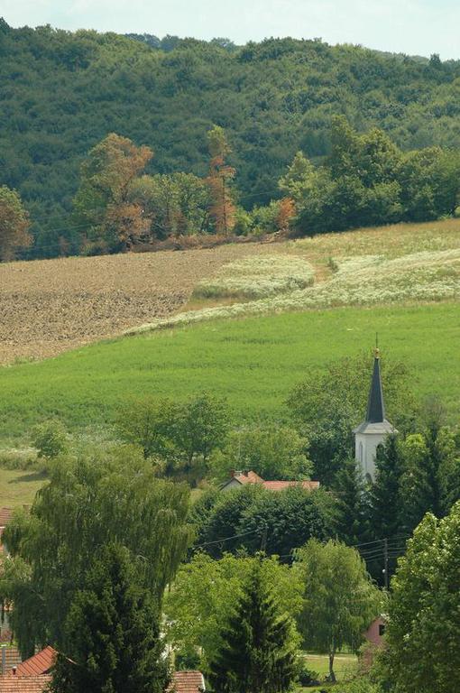 Sunny Village / Village Sunny