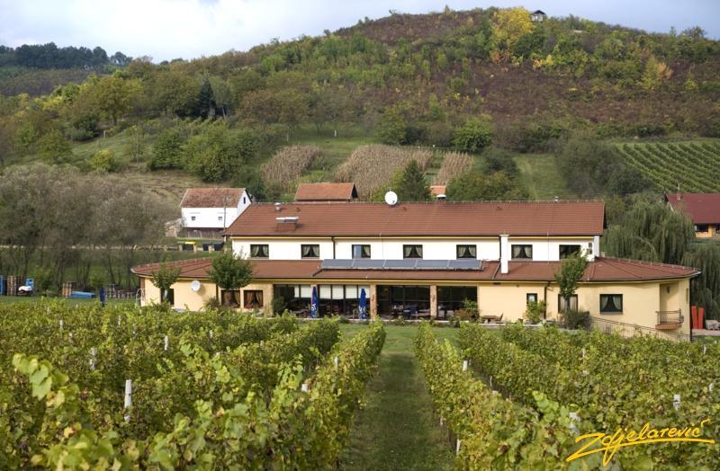Hotel Winery Zdjelarević