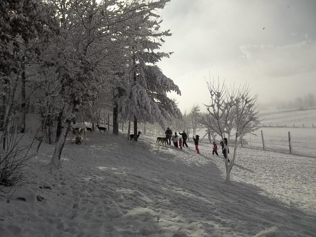 Kuća za odmor u Lici