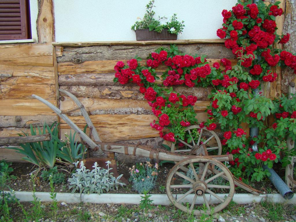 Magical Valentine's Day in the restaurant Međimurski dvori in Lopatinec