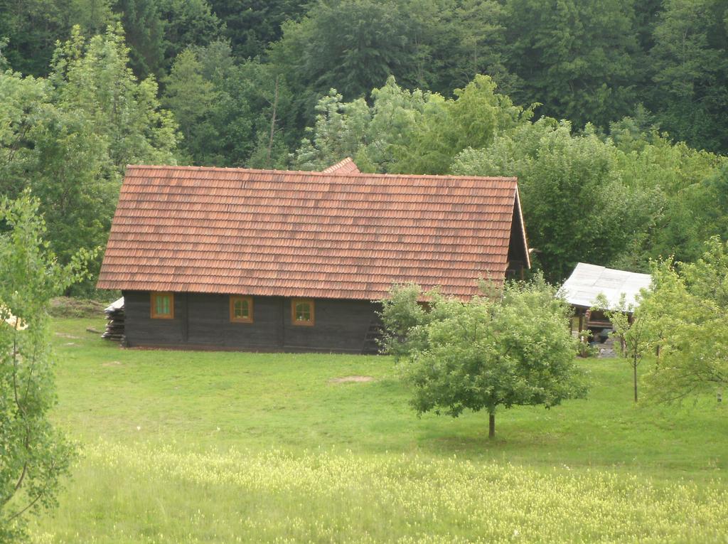 Reise zum Pokal