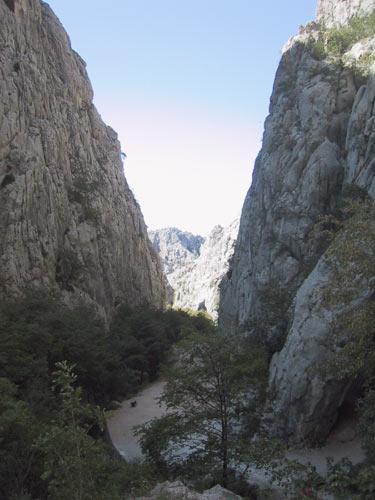 Apartmani Nereida