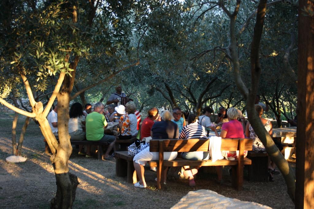 Roca, kuća dalmatinskog pršuta