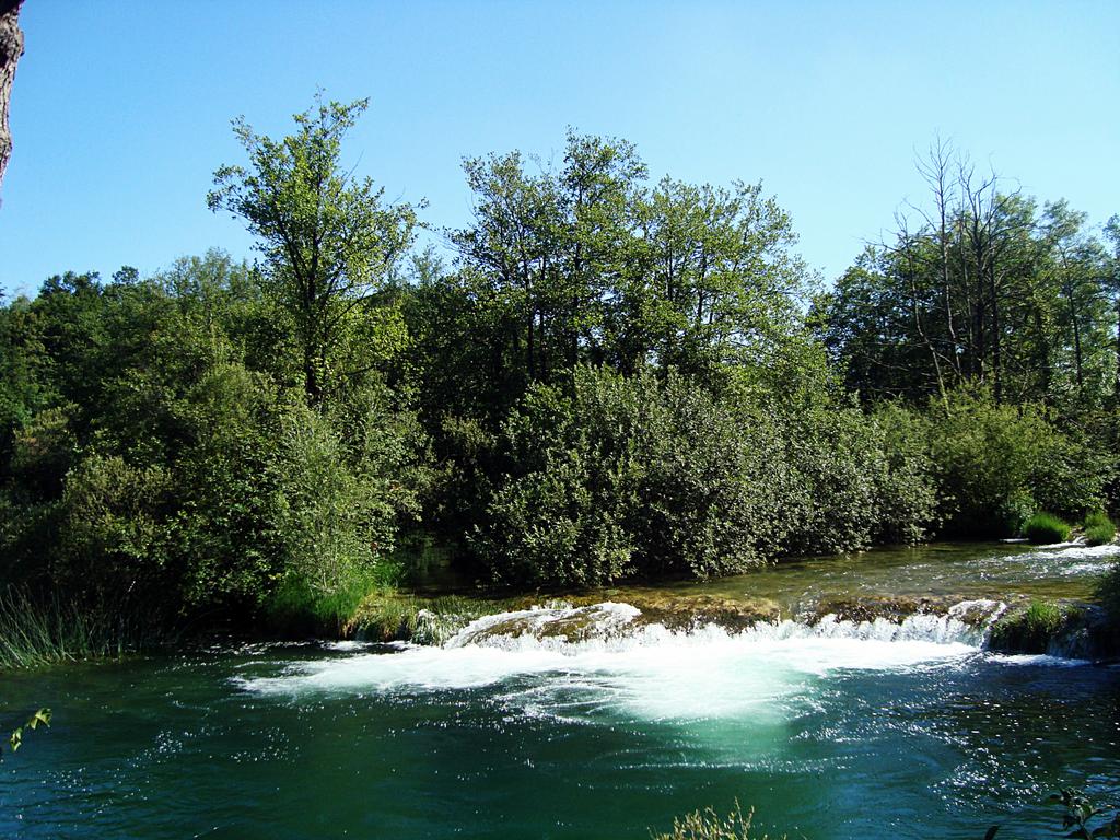 Campo Robinson "Leskar" - Mrežnica