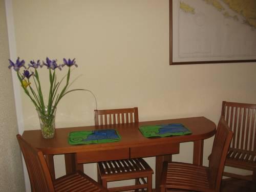 Luxury Apartment Dinka