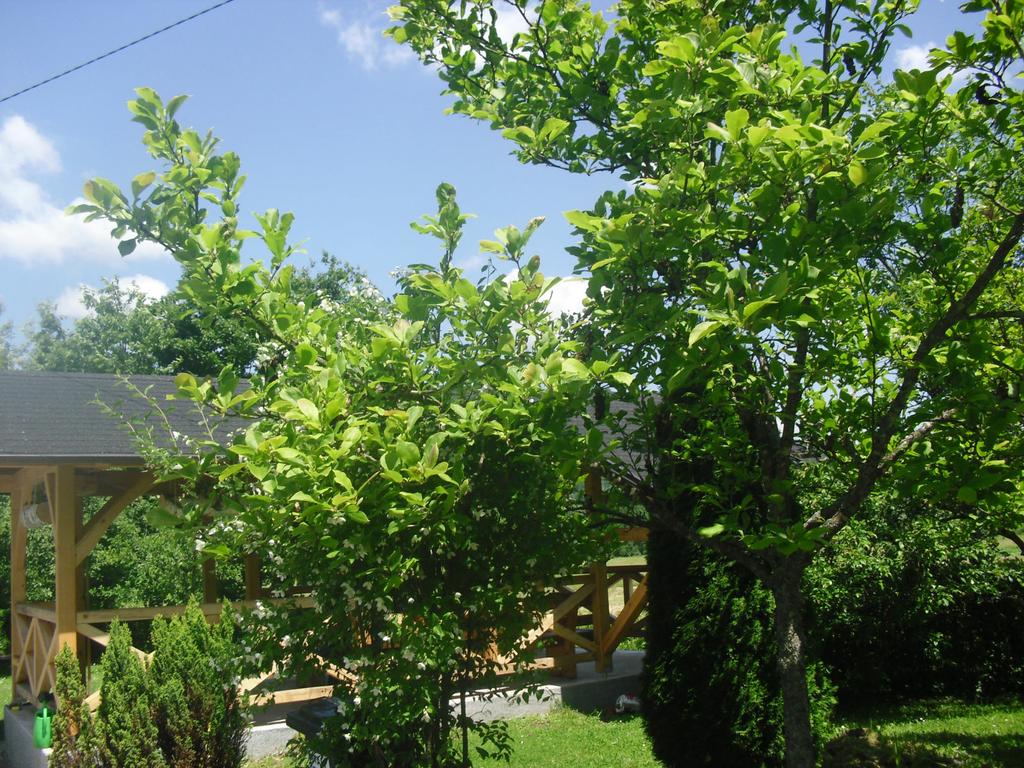 Kuća za odmor Dolores***