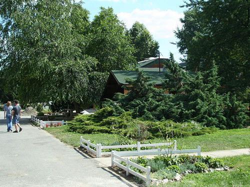 P. Z. Ergela Višnjica