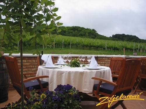 Hotel Winery Zdjelarević