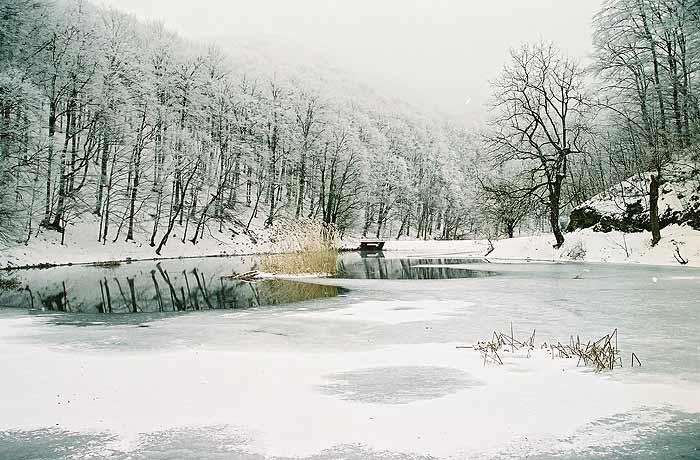 Park prirode Papuk