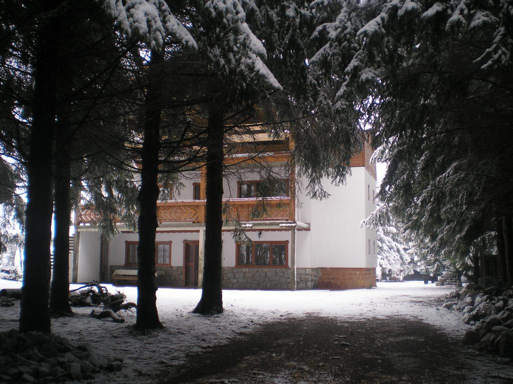 Foresta tribunale