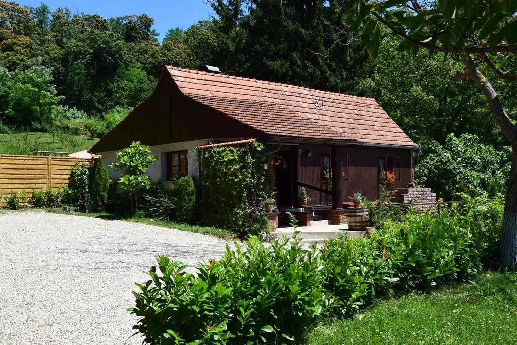 Casa di vacanza "Dedina kućica", Zagabria - spazio in affitto per feste