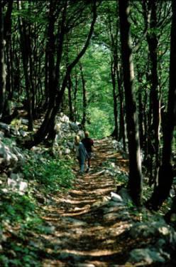 National Park Paklenica