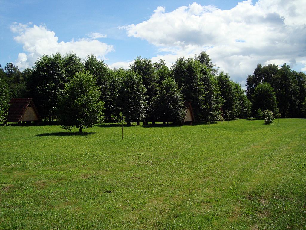 Campo Robinson "Leskar" - Mrežnica