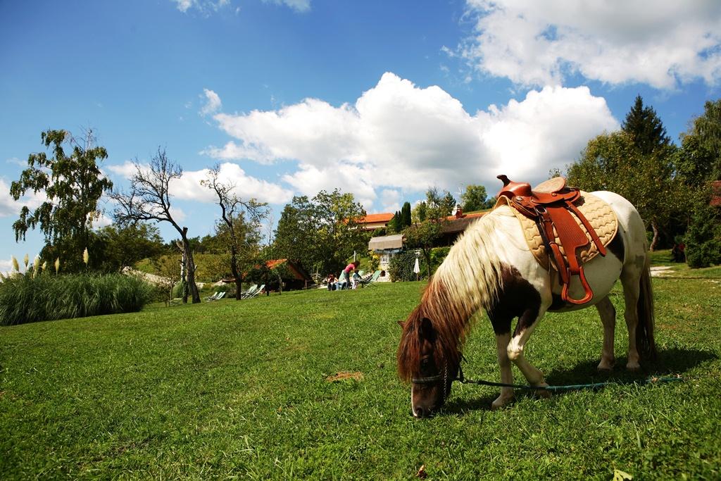 Vinarija, pansion & restaurant "Vuglec Breg"