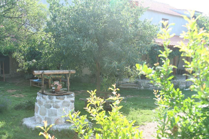 Agriturismo Čogelja