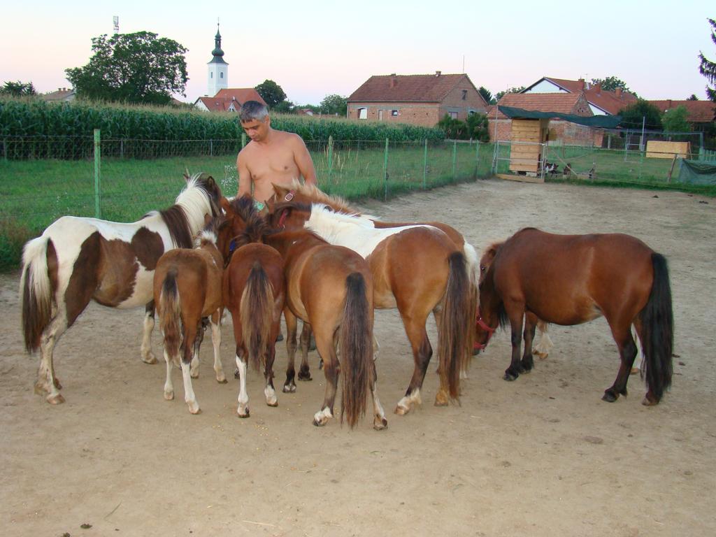Ranč Ponyland