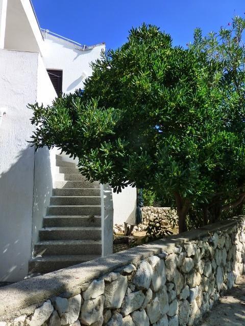 Apartment Oleandar
