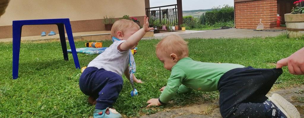 Green Zelina Holiday Home