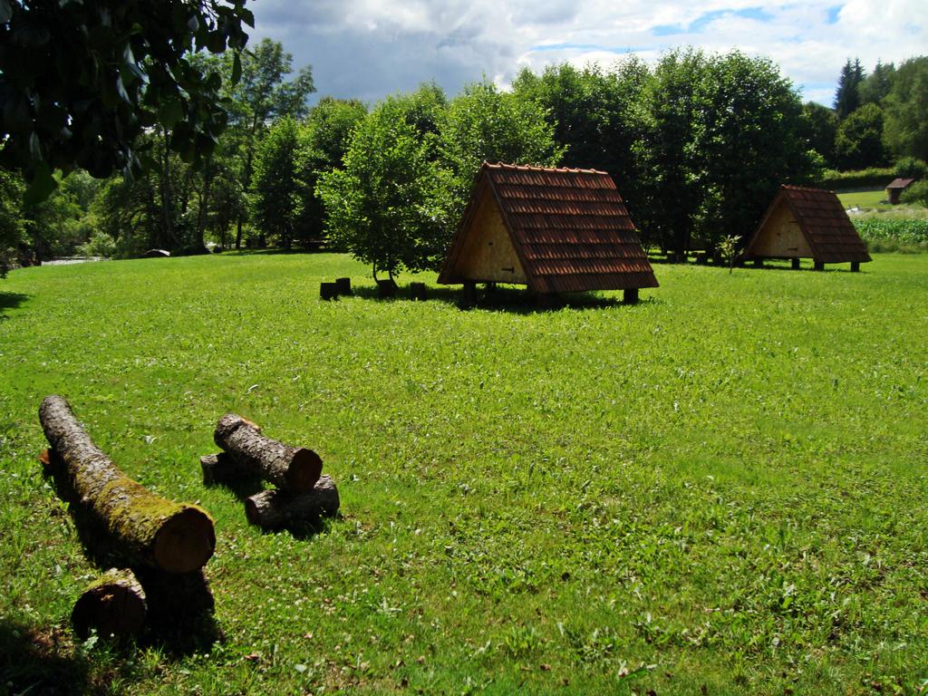 Campo Robinson "Leskar" - Mrežnica