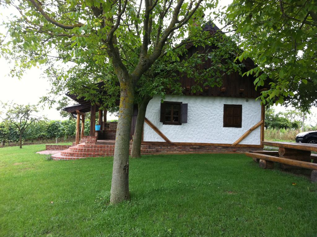 Bilogora house