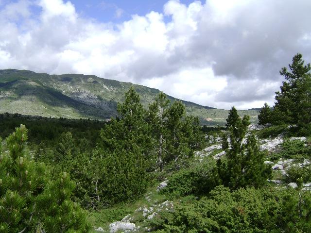 Park prirode Blidinje