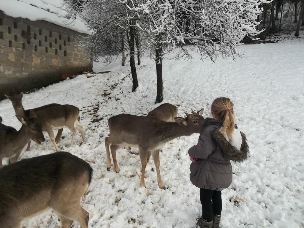 Kuća za odmor u Lici