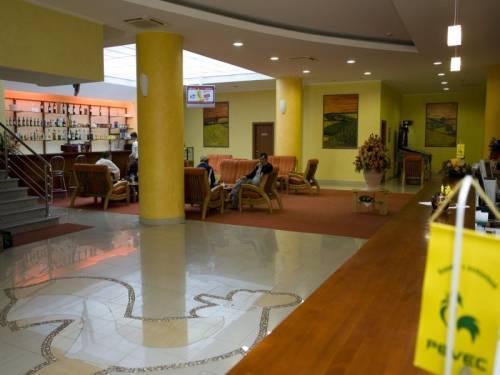 Hotel Picok