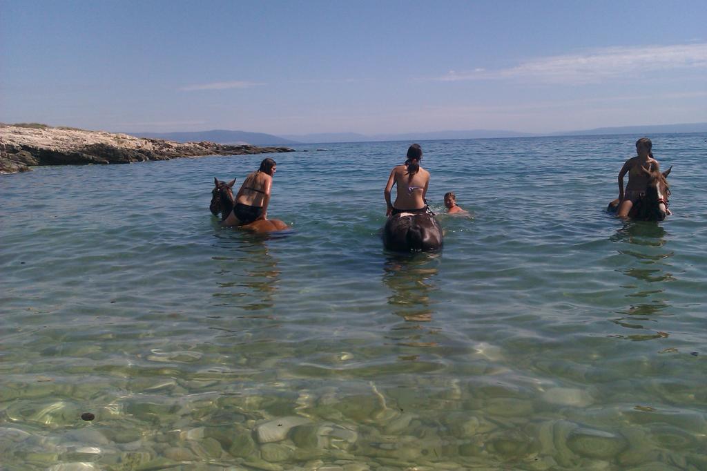 Ranch Istra Star