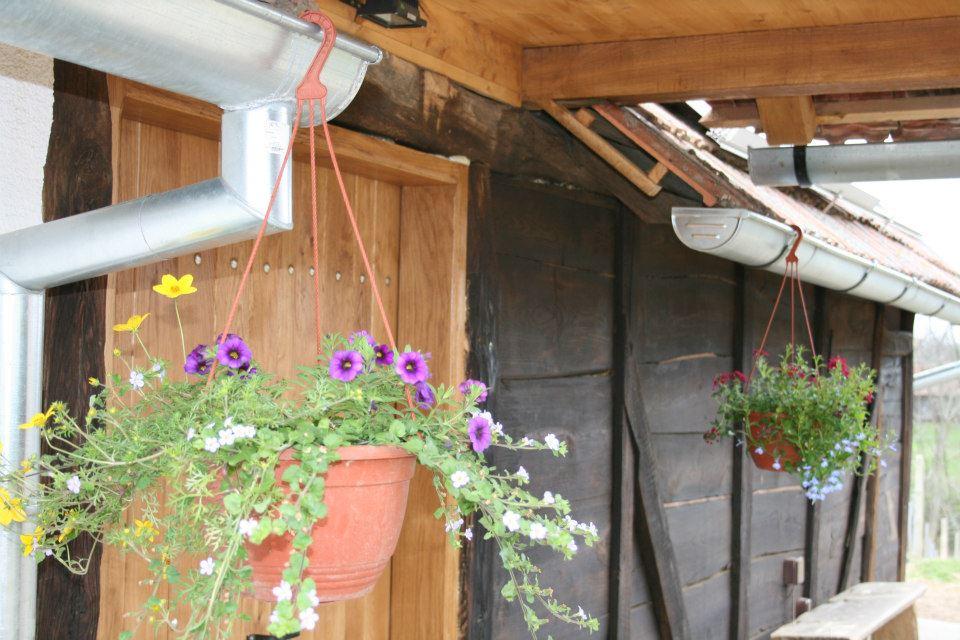 Ruralna kuća za odmor OPG Kandučar