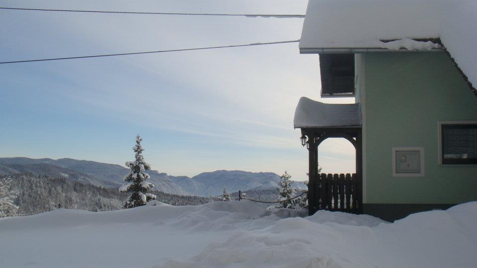 Ferienhaus "Kozji Vrh"