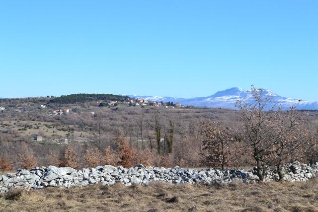 Palača Lazzarini-Battiala