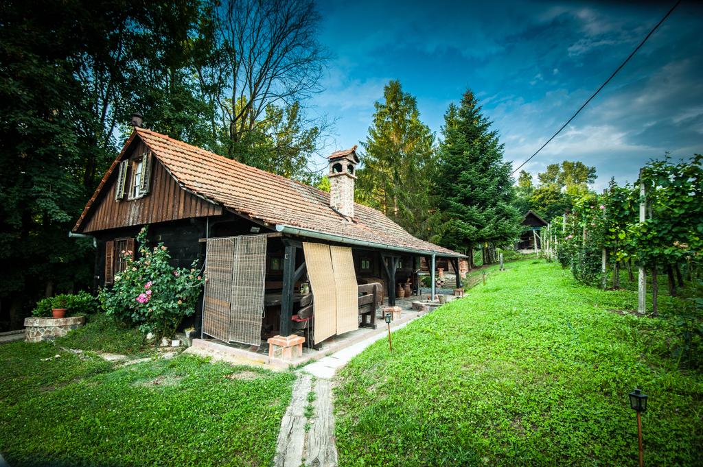 Holiday house and celebrations Green Paradise